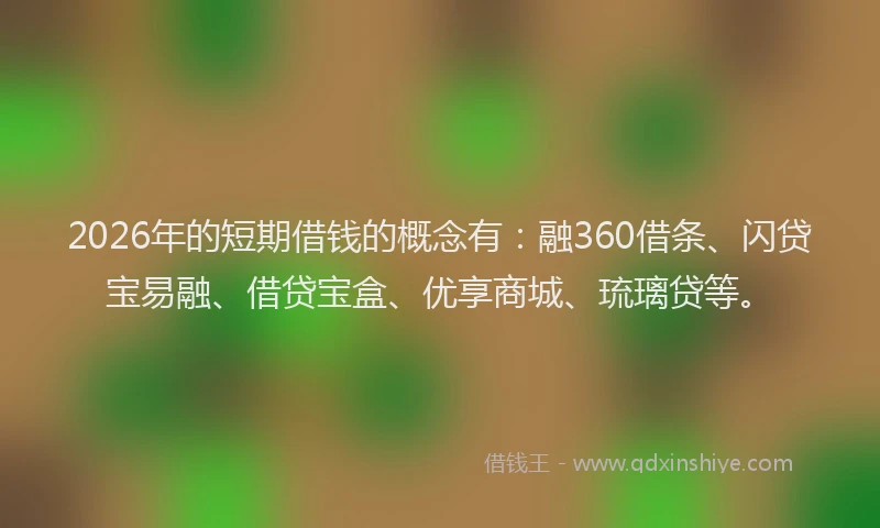 2026年的短期借钱的概念有：融360借条、闪贷宝易融、借贷宝盒、优享商城、琉璃贷等。