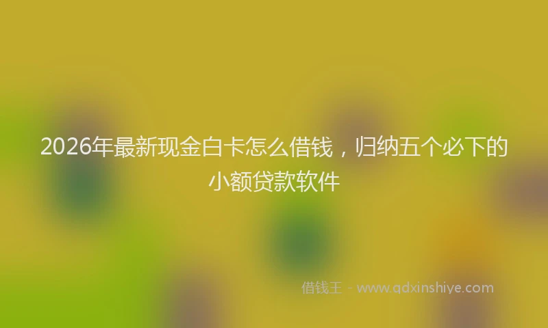 2026年最新现金白卡怎么借钱，归纳五个必下的小额贷款软件