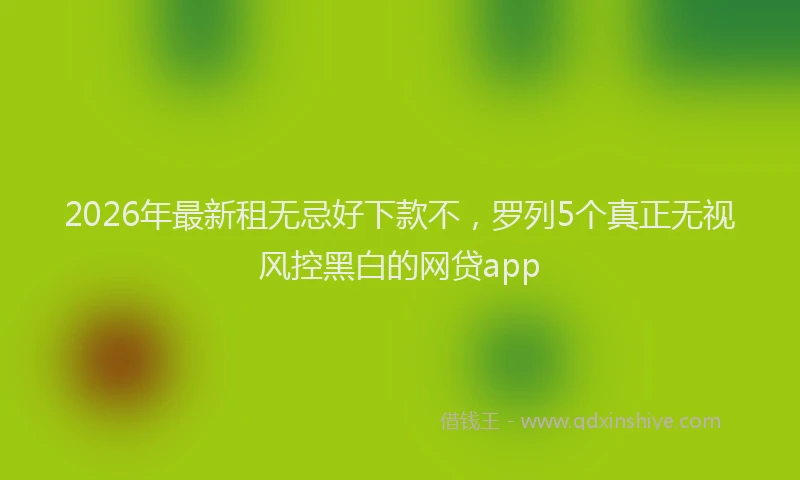 2026年最新租无忌好下款不，罗列5个真正无视风控黑白的网贷app