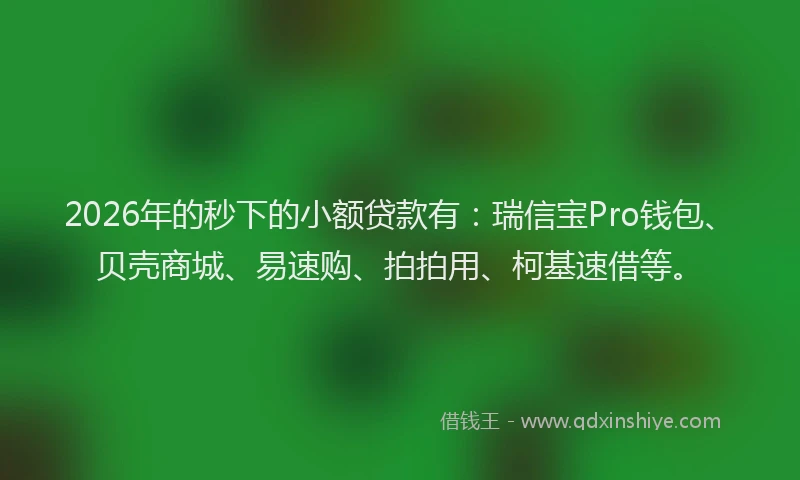 2026年的秒下的小额贷款有：瑞信宝Pro钱包、贝壳商城、易速购、拍拍用、柯基速借等。
