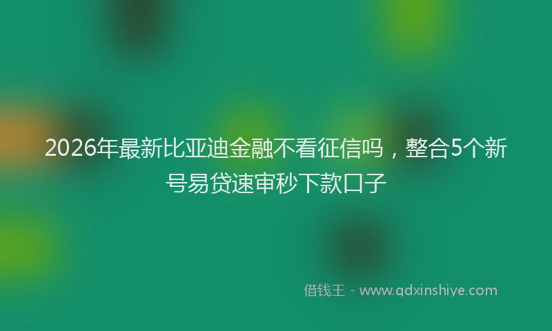 2026年最新比亚迪金融不看征信吗，整合5个新号易贷速审秒下款口子