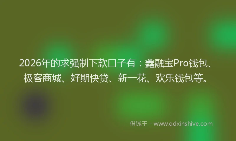 2026年的求强制下款口子有：鑫融宝Pro钱包、极客商城、好期快贷、新一花、欢乐钱包等。