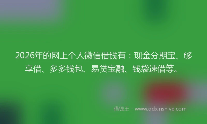 2026年的网上个人微信借钱有：现金分期宝、够享借、多多钱包、易贷宝融、钱袋速借等。