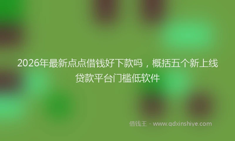 2026年最新点点借钱好下款吗，概括五个新上线贷款平台门槛低软件