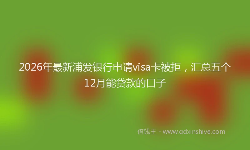 2026年最新浦发银行申请visa卡被拒，汇总五个12月能贷款的口子