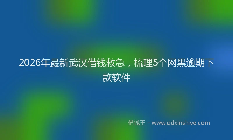2026年最新武汉借钱救急，梳理5个网黑逾期下款软件