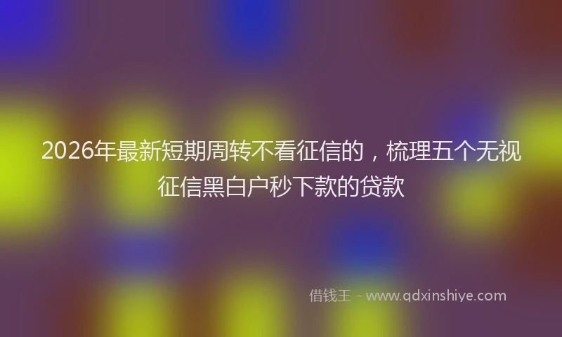 2026年最新短期周转不看征信的，梳理五个无视征信黑白户秒下款的贷款
