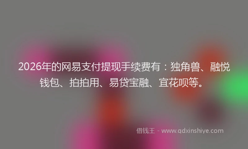 2026年的网易支付提现手续费有：独角兽、融悦钱包、拍拍用、易贷宝融、宜花呗等。