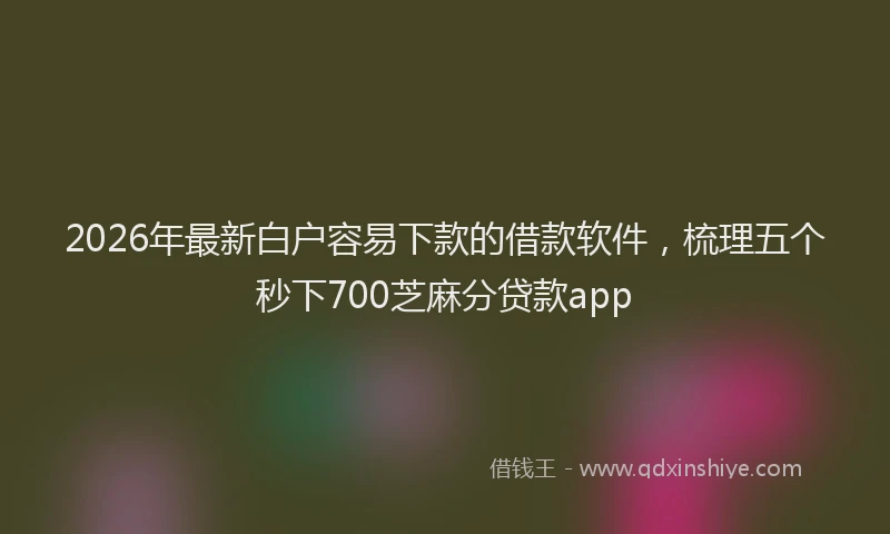 2026年最新白户容易下款的借款软件，梳理五个秒下700芝麻分贷款app
