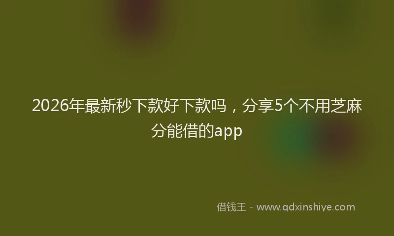 2026年最新秒下款好下款吗，分享5个不用芝麻分能借的app