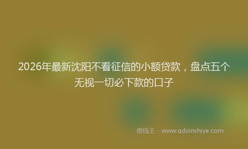 2026年最新沈阳不看征信的小额贷款，盘点五个无视一切必下款的口子