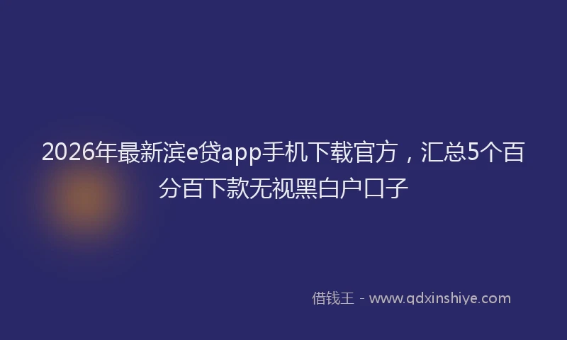 2026年最新滨e贷app手机下载官方，汇总5个百分百下款无视黑白户口子