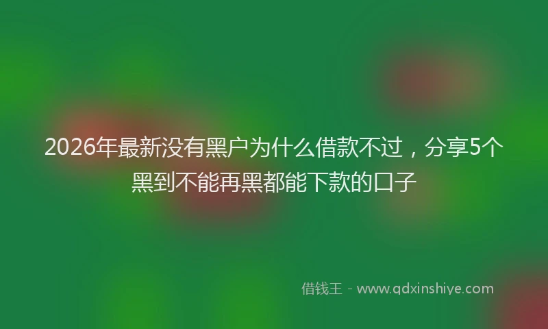 2026年最新没有黑户为什么借款不过，分享5个黑到不能再黑都能下款的口子