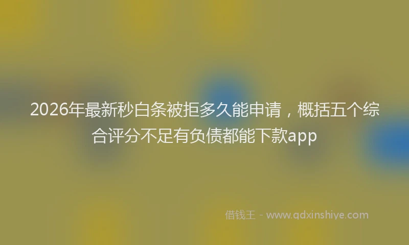 2026年最新秒白条被拒多久能申请，概括五个综合评分不足有负债都能下款app
