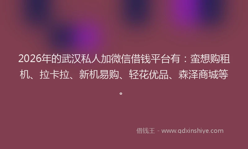 2026年的武汉私人加微信借钱平台有：蛮想购租机、拉卡拉、新机易购、轻花优品、森泽商城等。