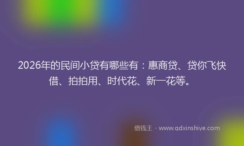 2026年的民间小贷有哪些有：惠商贷、贷你飞快借、拍拍用、时代花、新一花等。