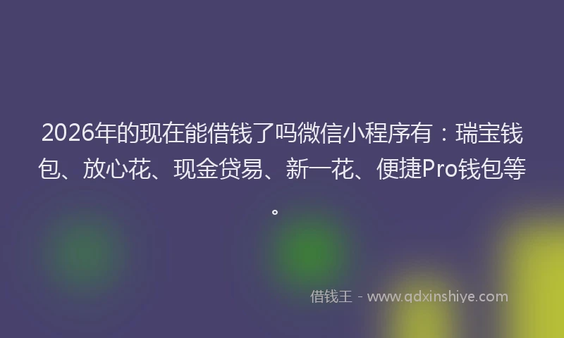 2026年的现在能借钱了吗微信小程序有：瑞宝钱包、放心花、现金贷易、新一花、便捷Pro钱包等。