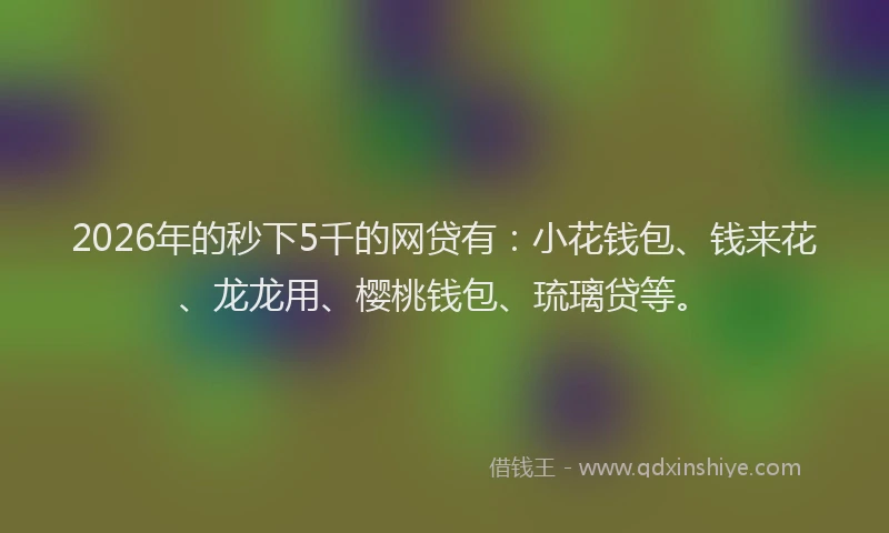 2026年的秒下5千的网贷有：小花钱包、钱来花、龙龙用、樱桃钱包、琉璃贷等。