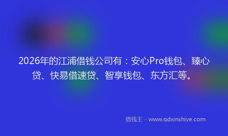 2026年的江浦借钱公司有：安心Pro钱包、臻心贷、快易借速贷、智享钱包、东方汇等。