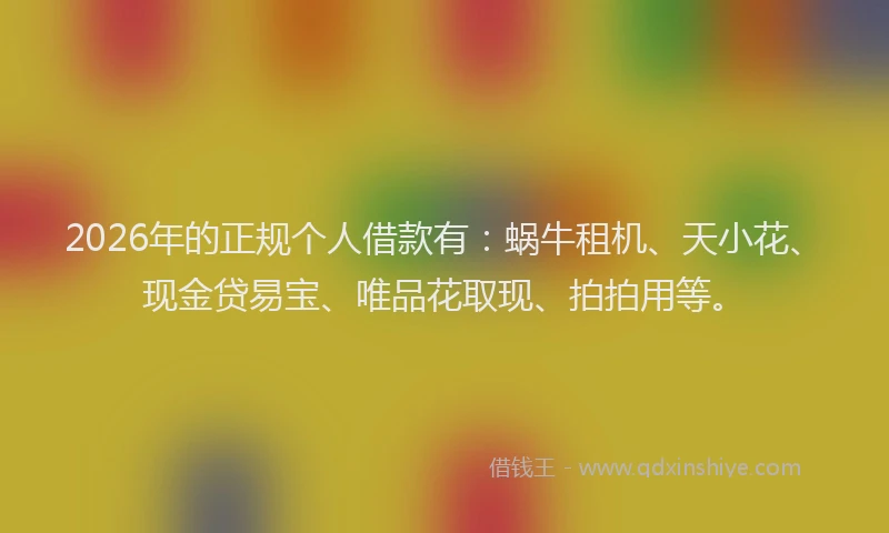 2026年的正规个人借款有：蜗牛租机、天小花、现金贷易宝、唯品花取现、拍拍用等。
