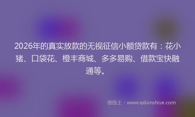 2026年的真实放款的无视征信小额贷款有：花小猪、口袋花、橙丰商城、多多易购、借款宝快融通等。