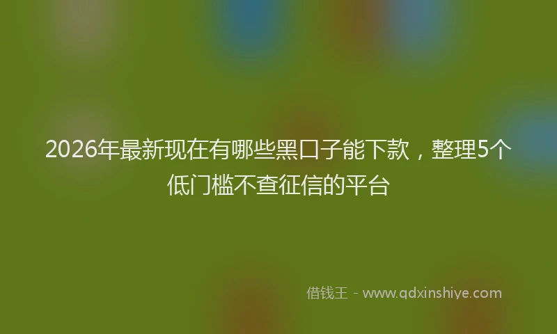 2026年最新现在有哪些黑口子能下款，整理5个低门槛不查征信的平台