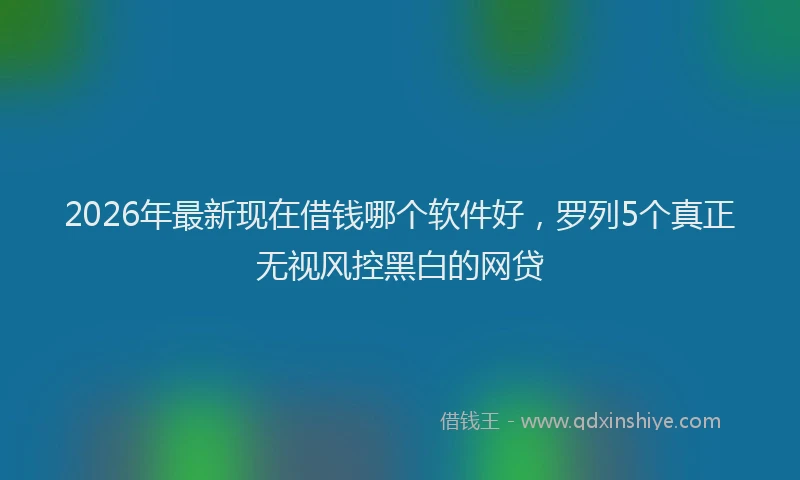 2026年最新现在借钱哪个软件好，罗列5个真正无视风控黑白的网贷