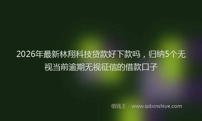 2026年最新林翔科技贷款好下款吗，归纳5个无视当前逾期无视征信的借款口子
