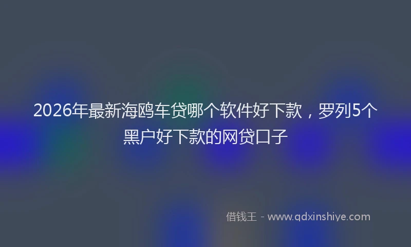 2026年最新海鸥车贷哪个软件好下款，罗列5个黑户好下款的网贷口子