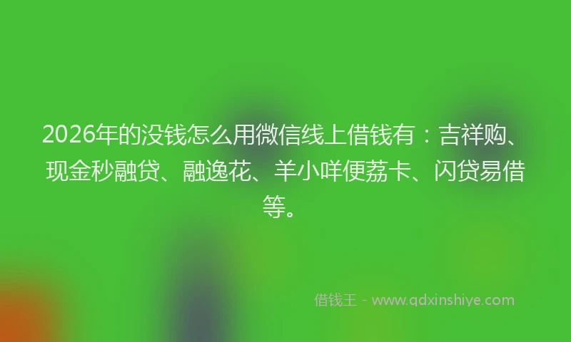 2026年的没钱怎么用微信线上借钱有：吉祥购、现金秒融贷、融逸花、羊小咩便荔卡、闪贷易借等。
