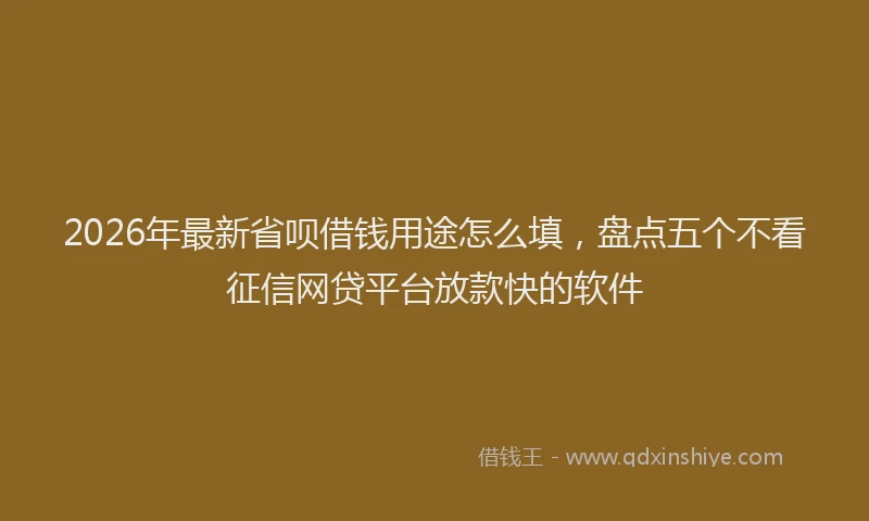 2026年最新省呗借钱用途怎么填，盘点五个不看征信网贷平台放款快的软件