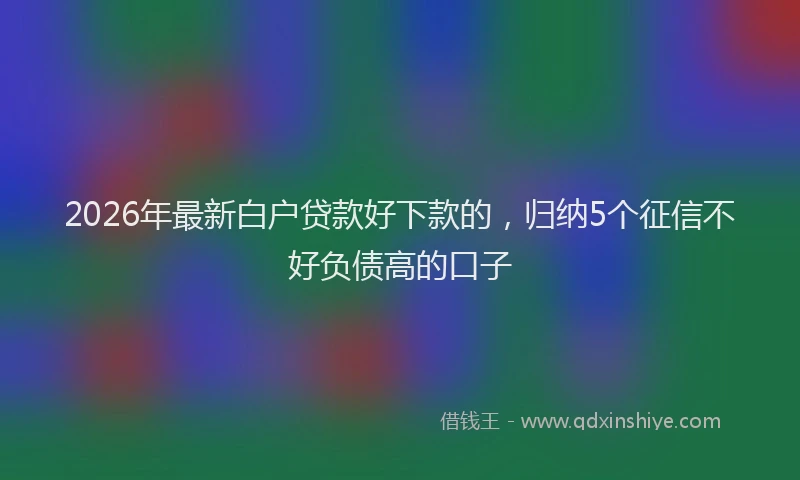 2026年最新白户贷款好下款的，归纳5个征信不好负债高的口子