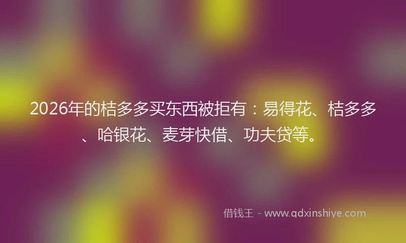 2026年的桔多多买东西被拒有：易得花、桔多多、哈银花、麦芽快借、功夫贷等。