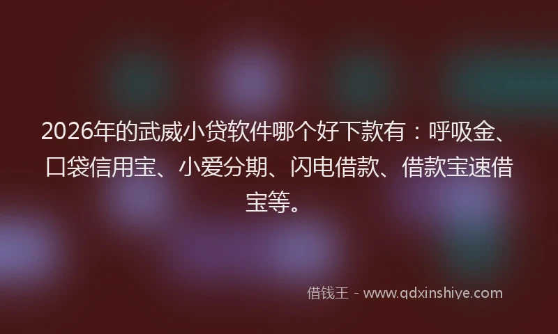 2026年的武威小贷软件哪个好下款有：呼吸金、口袋信用宝、小爱分期、闪电借款、借款宝速借宝等。