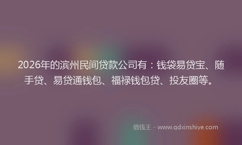 2026年的滨州民间贷款公司有：钱袋易贷宝、随手贷、易贷通钱包、福禄钱包贷、投友圈等。