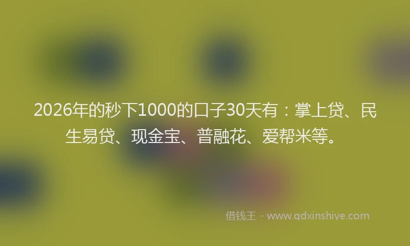 2026年的秒下1000的口子30天有：掌上贷、民生易贷、现金宝、普融花、爱帮米等。