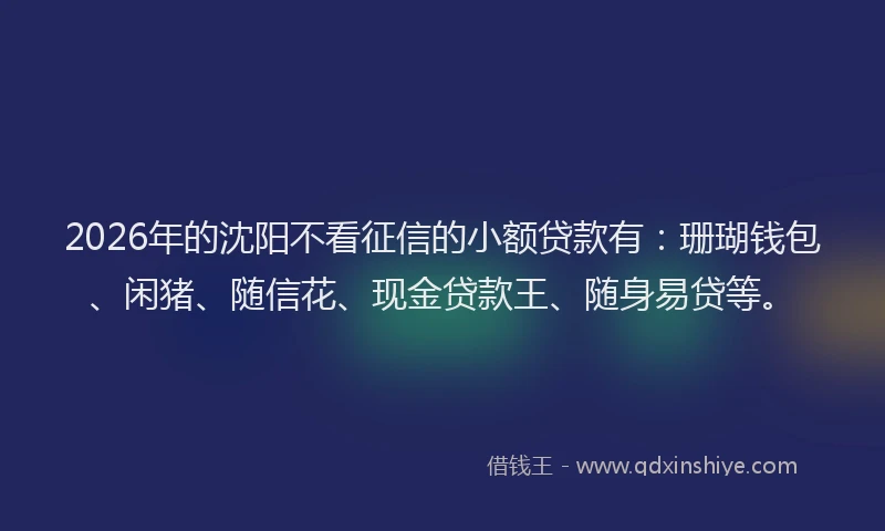 2026年的沈阳不看征信的小额贷款有：珊瑚钱包、闲猪、随信花、现金贷款王、随身易贷等。