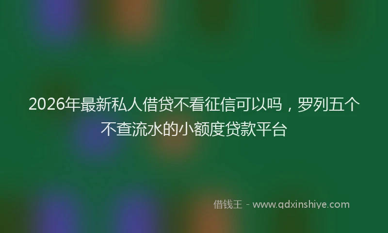 2026年最新私人借贷不看征信可以吗，罗列五个不查流水的小额度贷款平台