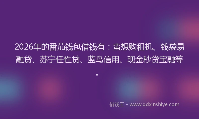 2026年的番茄钱包借钱有：蛮想购租机、钱袋易融贷、苏宁任性贷、蓝鸟信用、现金秒贷宝融等。