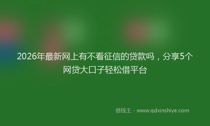 2026年最新网上有不看征信的贷款吗，分享5个网贷大口子轻松借平台