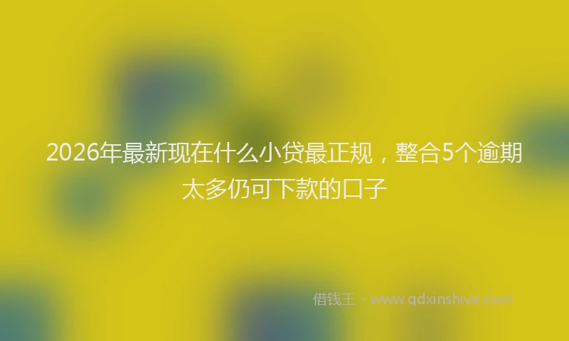 2026年最新现在什么小贷最正规，整合5个逾期太多仍可下款的口子