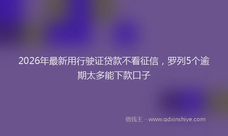 2026年最新用行驶证贷款不看征信，罗列5个逾期太多能下款口子