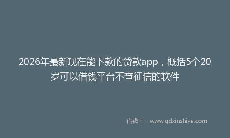 2026年最新现在能下款的贷款app，概括5个20岁可以借钱平台不查征信的软件