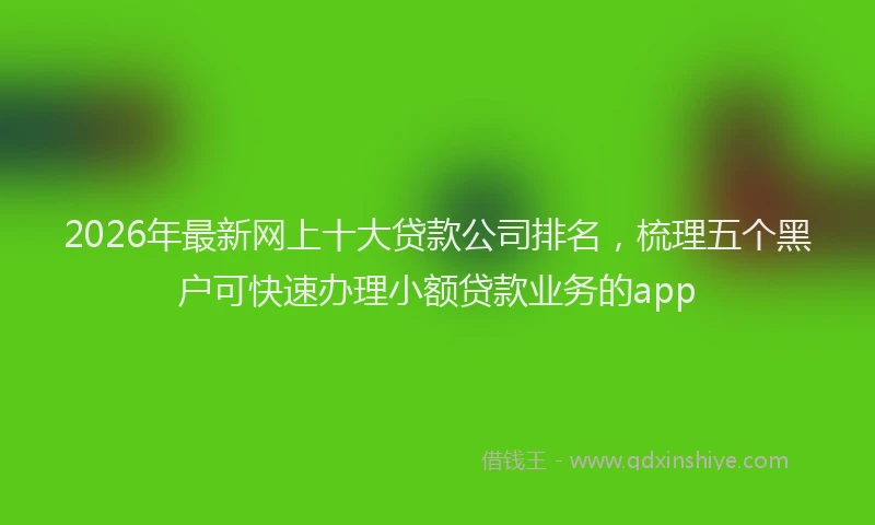 2026年最新网上十大贷款公司排名，梳理五个黑户可快速办理小额贷款业务的app