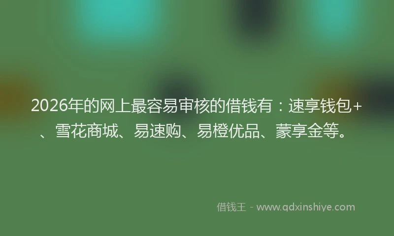 2026年的网上最容易审核的借钱有：速享钱包+、雪花商城、易速购、易橙优品、蒙享金等。