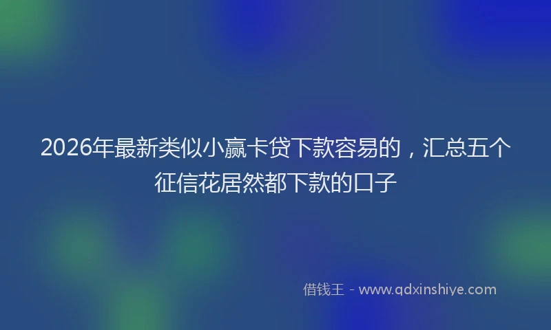 2026年最新类似小赢卡贷下款容易的，汇总五个征信花居然都下款的口子