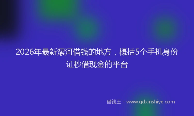 2026年最新漯河借钱的地方，概括5个手机身份证秒借现金的平台