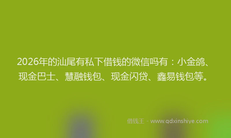 2026年的汕尾有私下借钱的微信吗有：小金鸽、现金巴士、慧融钱包、现金闪贷、鑫易钱包等。