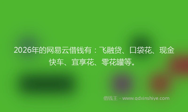 2026年的网易云借钱有：飞融贷、口袋花、现金快车、宜享花、零花罐等。