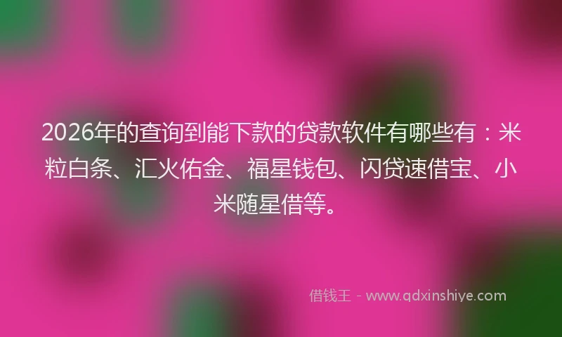 2026年的查询到能下款的贷款软件有哪些有：米粒白条、汇火佑金、福星钱包、闪贷速借宝、小米随星借等。